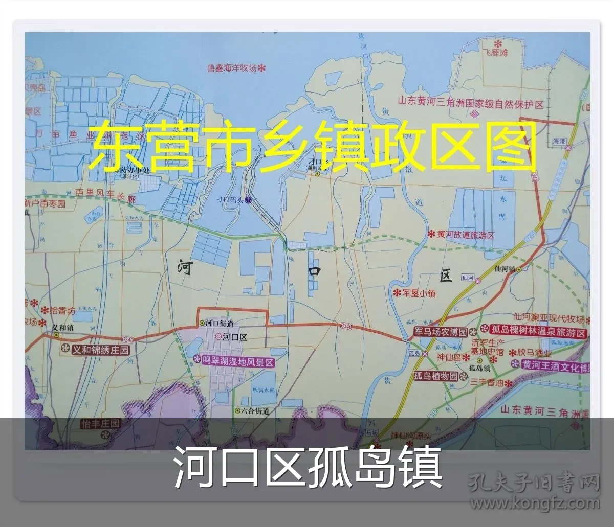 河口区孤岛镇